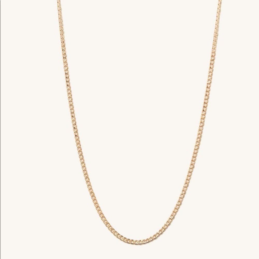 Mejuri 14k Gold Flat Curb Chain Necklace